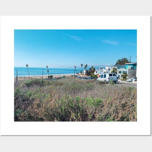 Grassy patch by California beachside Posters and Art